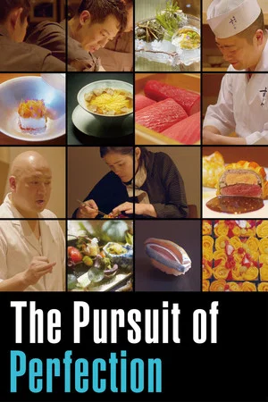 Постер: The Pursuit of Perfection