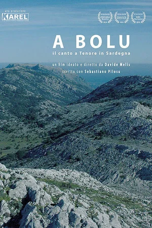 Постер: To Bolu