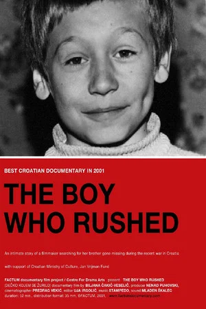 Постер: The Boy Who Rushed