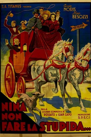 Постер: Nina, non far la stupida