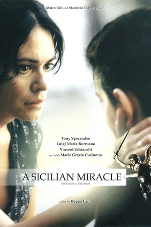 Постер: Miracolo a Palermo!