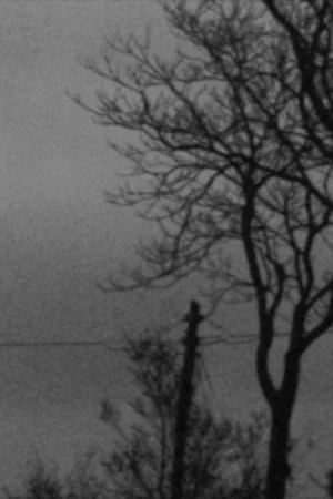 Постер: Notturno