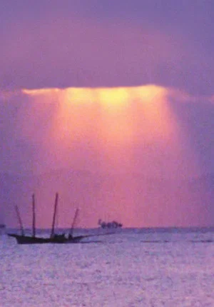 Постер: The Shiranui Sea