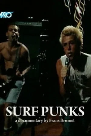 Постер: Surf Punks