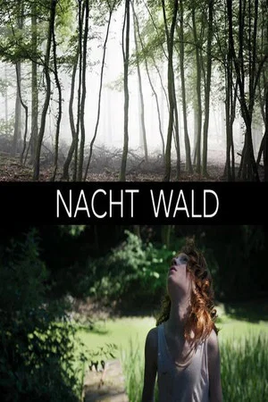Постер: Nacht Wald