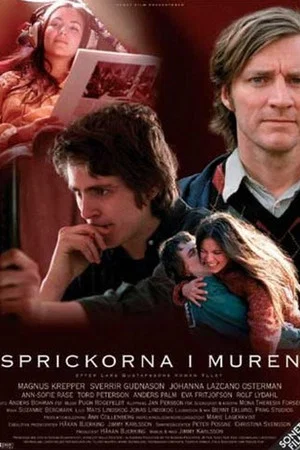 Постер: A Breach in the Wall