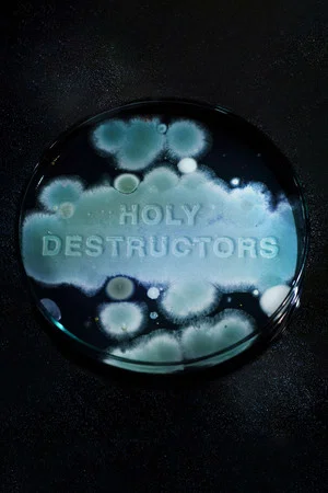 Постер: Holy Destructors