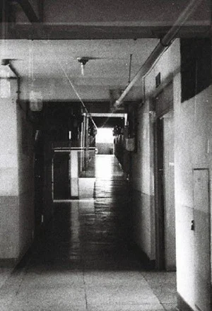 Постер: Permanent Apartment