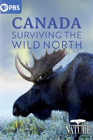 Постер: Canada: Surviving the Wild North
