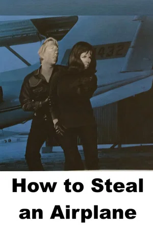 Постер: How to Steal an Airplane