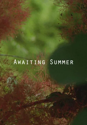 Постер: Awaiting Summer