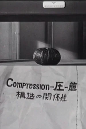 Постер: Compression—Relation of Matters