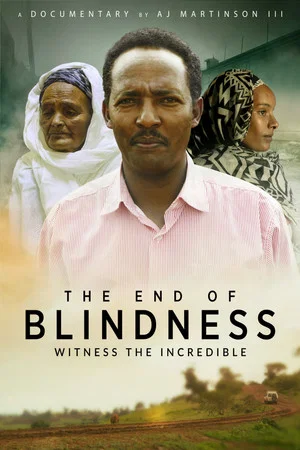 Постер: The End of Blindness