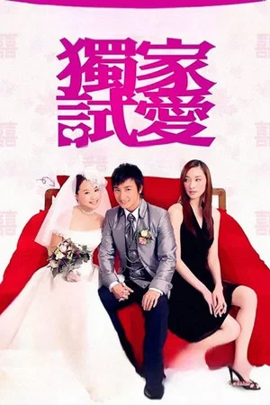 Постер: Marriage with a Fool