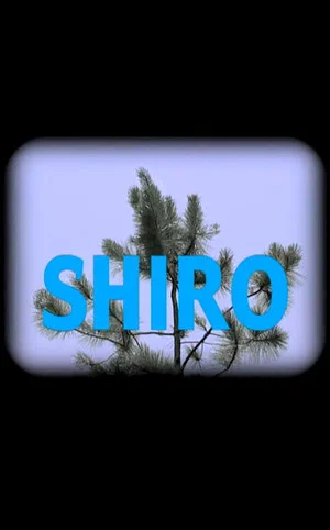 Постер: Shiro