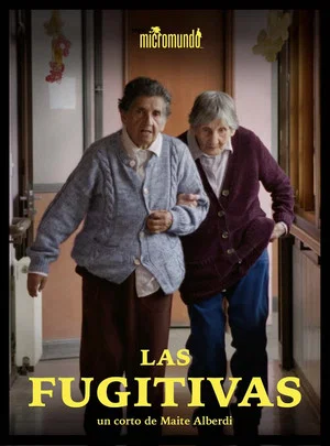 Постер: The Fugitives