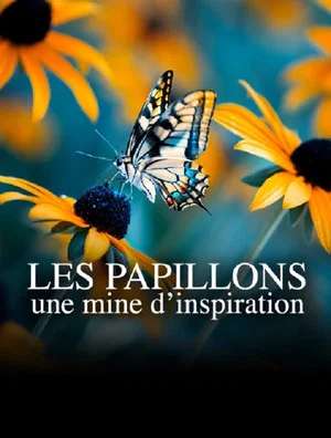 Постер: Les papillons, une mine d'inspiration