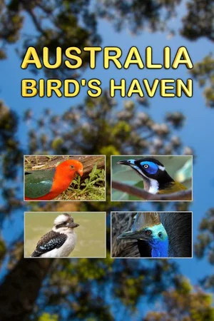 Постер: Australia, Bird's Haven