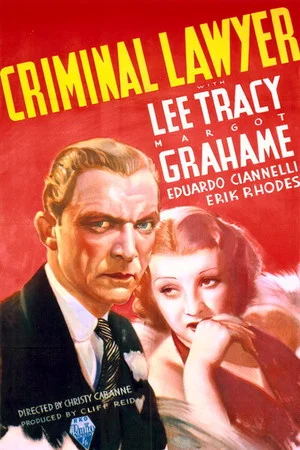 Постер: Criminal Lawyer