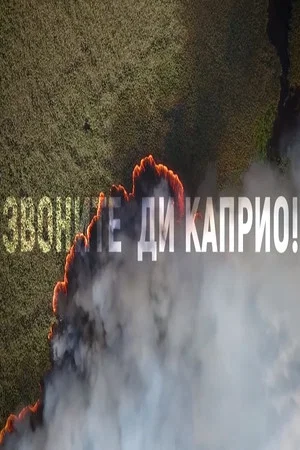 Постер: Звоните Ди Каприо