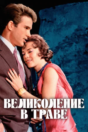 Постер: Великолепие в траве