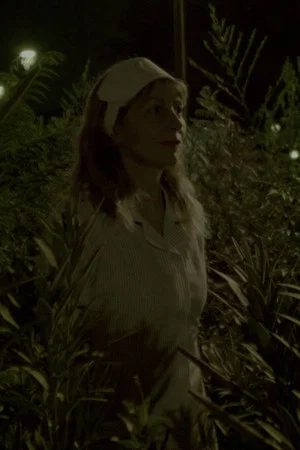 Постер: The Attacking Nurse