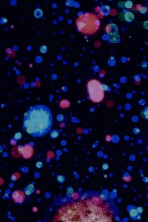 Постер: All Over