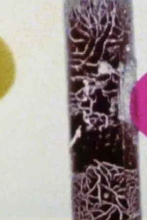 Постер: Film n. 4