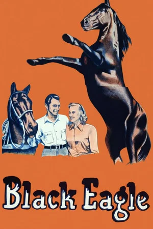 Постер: Black Eagle