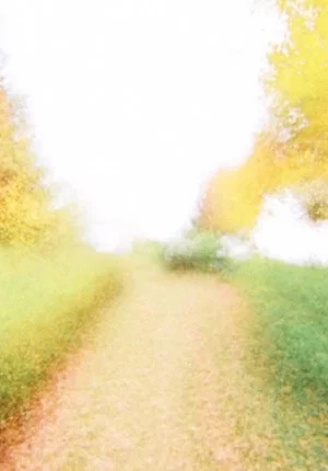 Постер: Brouillard #15