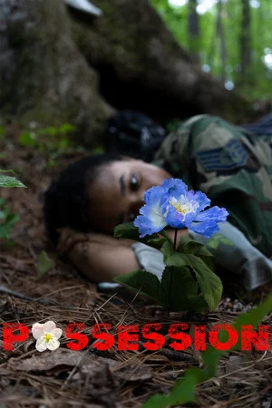 Постер: Possession