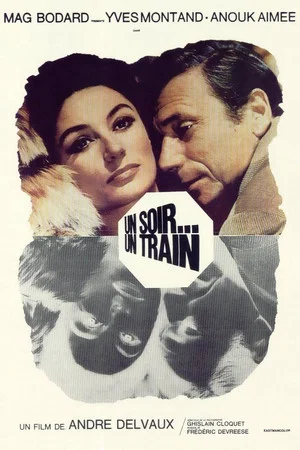 Постер: One Night... a Train