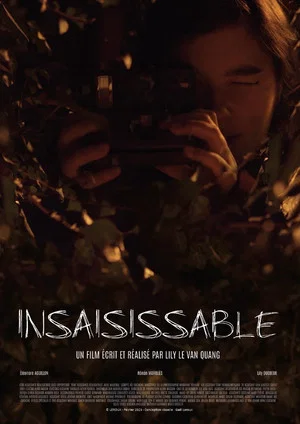 Постер: Insaisissable
