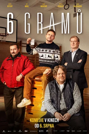 Постер: 6 grams