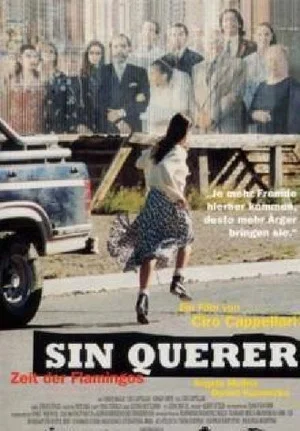 Постер: Sin querer