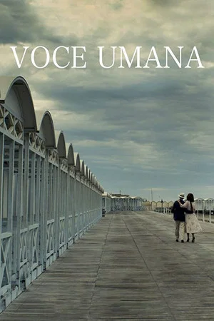 Постер: Human Voice