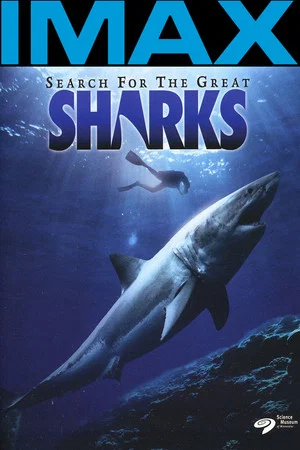 Постер: Search for the Great Sharks