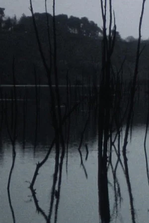 Постер: Sleeping waters
