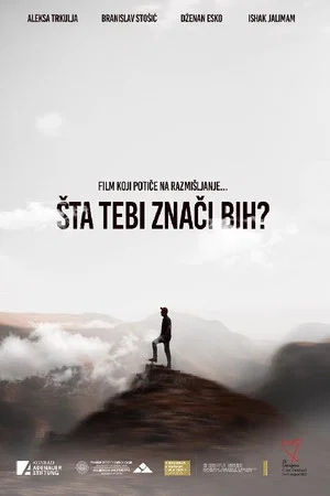 Постер: What Does Bosnia Mean to You?