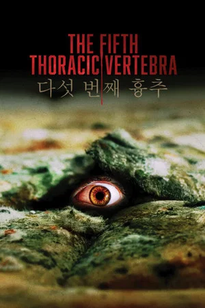 Постер: The Fifth Thoracic Vertebra