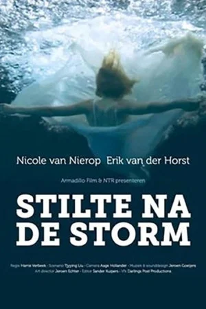 Постер: Stilte na de storm