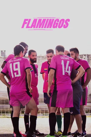 Постер: Flamingos