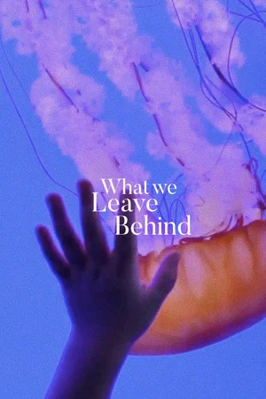 Постер: What We Leave Behind