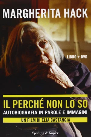 Постер: Il perché non lo so