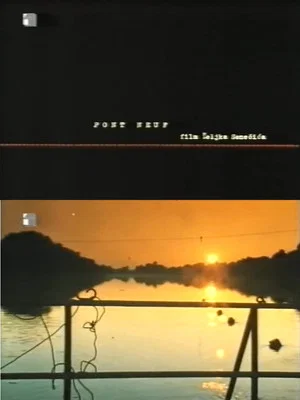 Постер: Pont Neuf