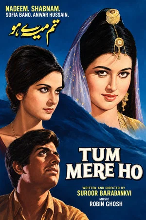Постер: Tum Mere Ho