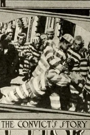 Постер: The Convict's Story
