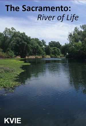 Постер: The Sacramento River of Life