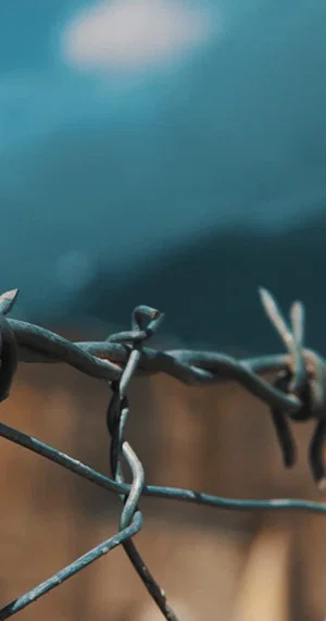 Постер: Children of the Dictatorship
