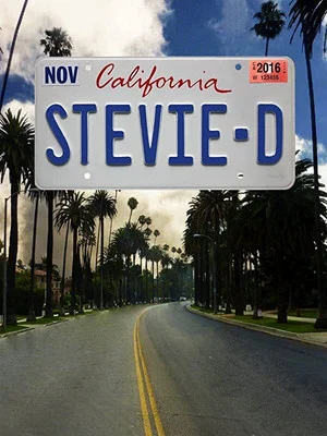 Постер: Stevie D